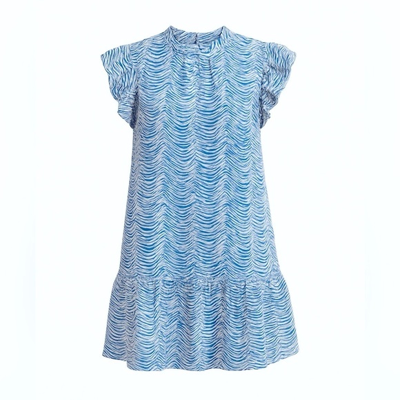 NWOT PINCH Drop-Waist Mini Dress – Blue White Zebra Print – Size Small - Picture 6 of 8